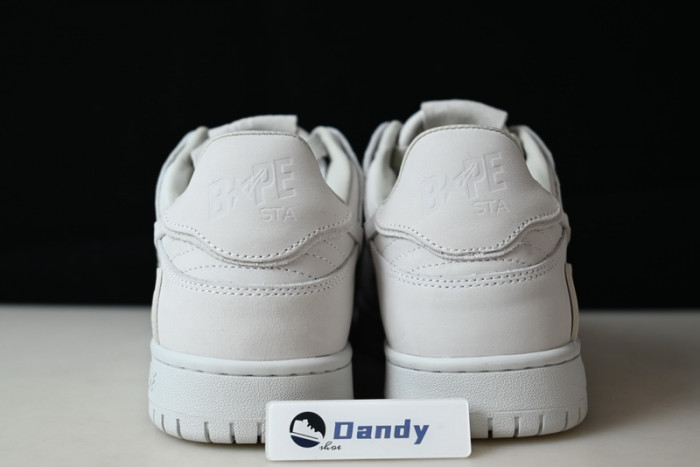 BAPE Shoe